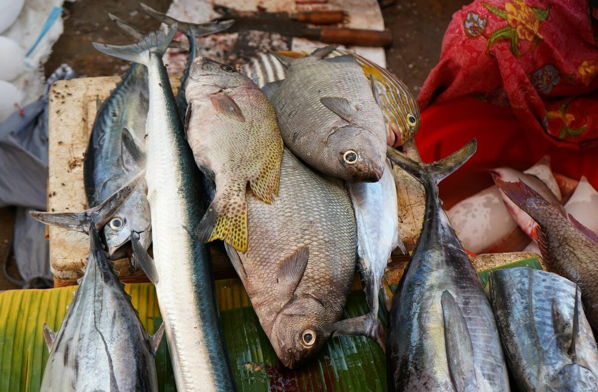 Freshly caught tropical fish at a local market