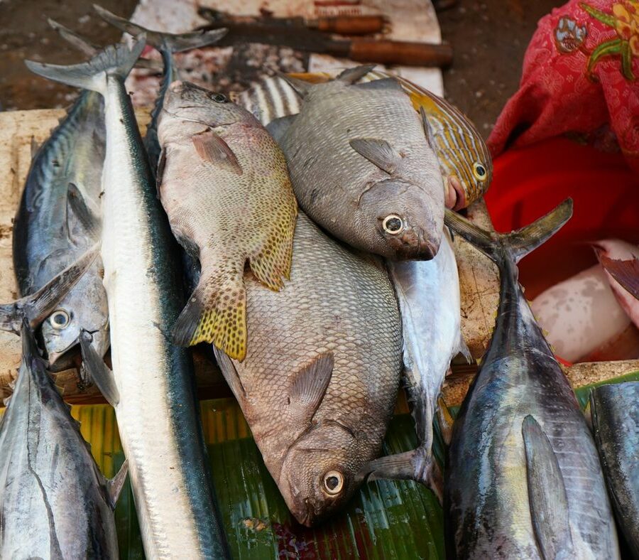 Freshly caught tropical fish at a local market