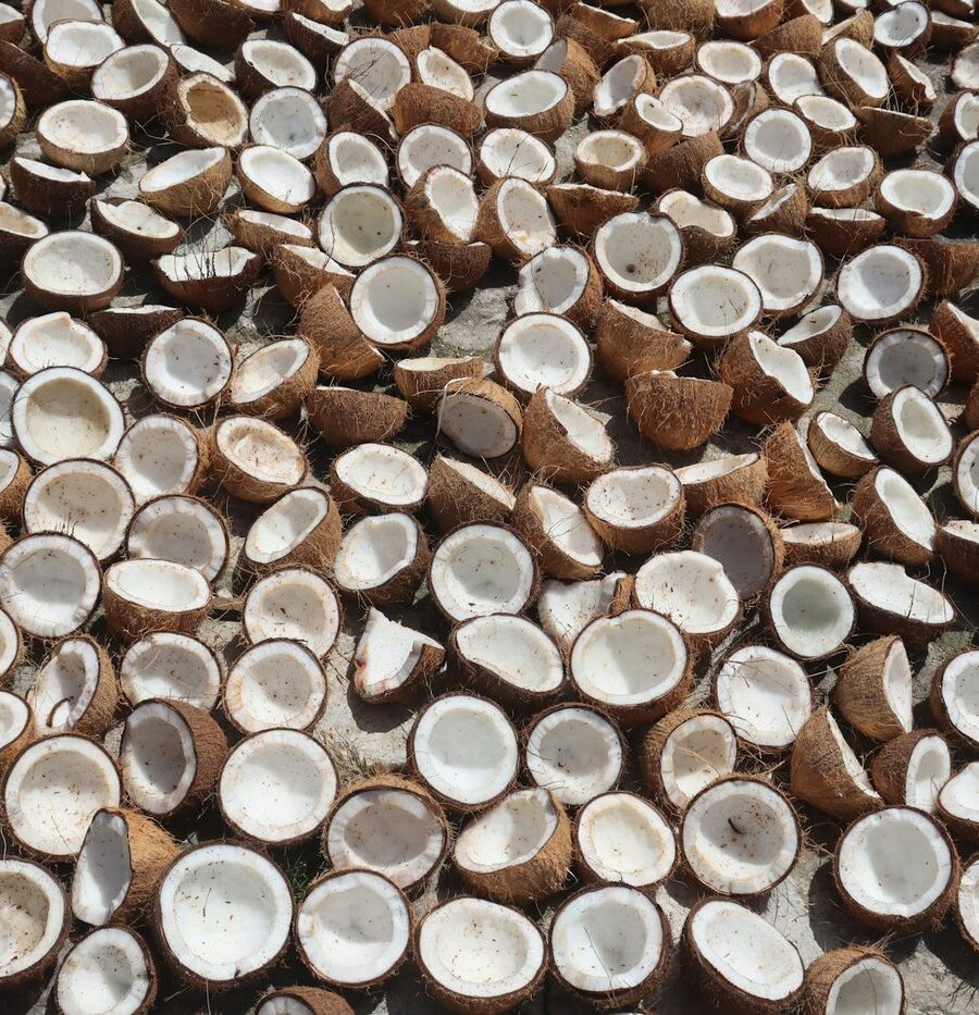 Split coconut halves drying in the sun