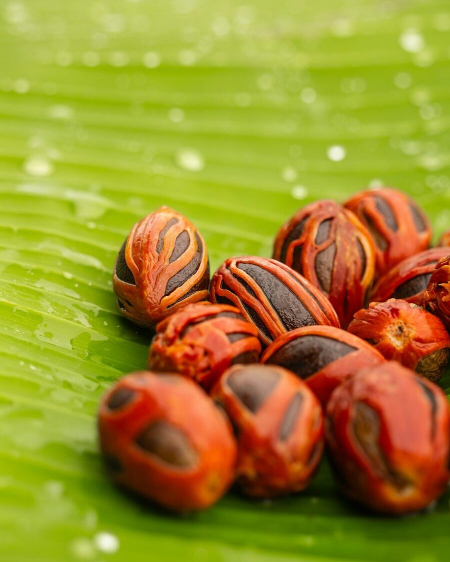 Whole nutmeg seeds wrapped in red mace on a banana leaf